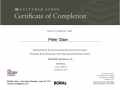 Peter-Glaw_AIA_CERT-stone-veneer