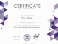 buildability-cert