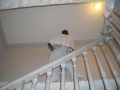 DSCN1344