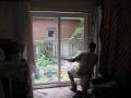 IMG_1517 IMG_1517