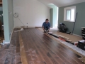 IMG_1381 IMG_1381