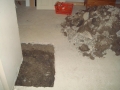 DSC00631