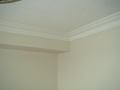 DSC00537