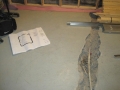 IMG_1666 IMG_1666