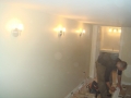 DSC00520
